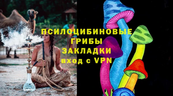 PSILOCYBIN Белокуриха