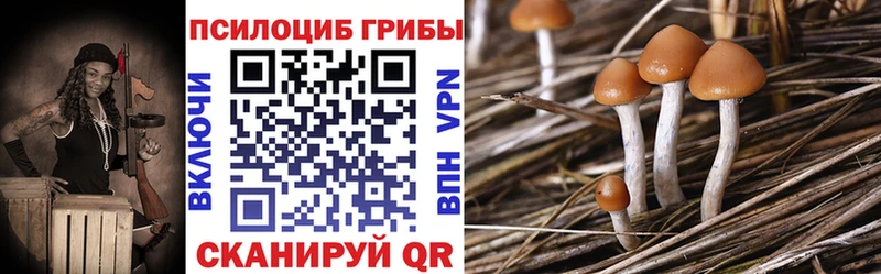 Галлюциногенные грибы Psilocybine cubensis Заполярный